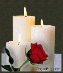 rose_candle.gif