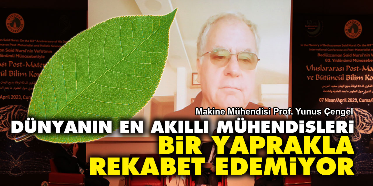 Dünyanın en akıllı mühendisleri bir yaprakla rekabet edemiyor