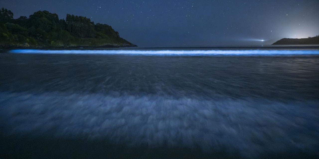 İspanya'nın 'sütlü deniz' ışıkları