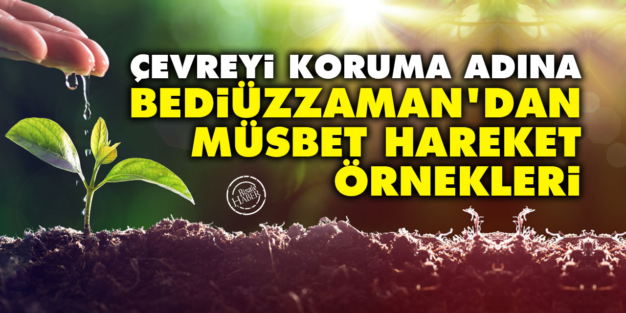 Çevreyi koruma adına Bediüzzaman’dan müsbet hareket örnekleri