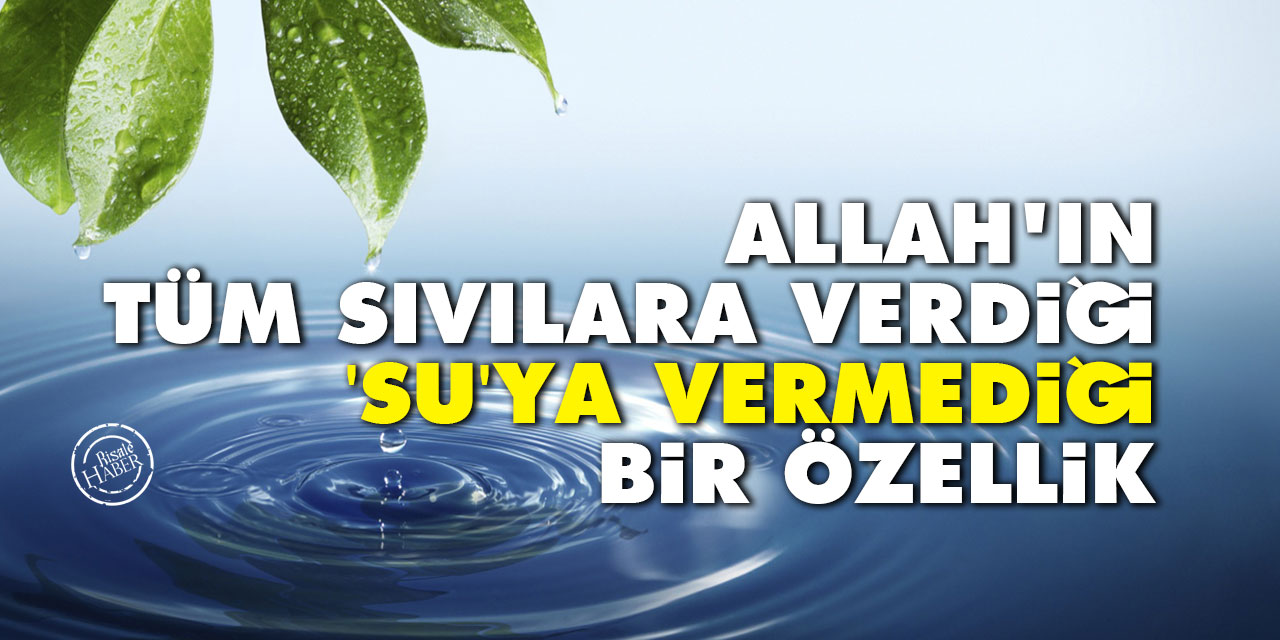 Allah'ın tüm sıvılara verdiği 'su'ya vermediği bir özellik