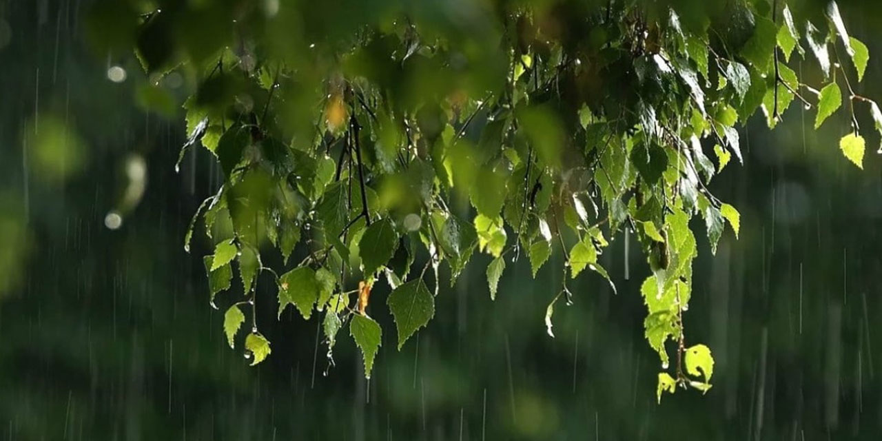 Risale-i Nur'un ne derece rahmet olduğuna delâlet eden bir tevafuk-u acibe