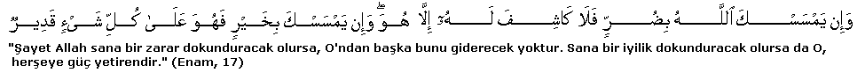 enam17.gif