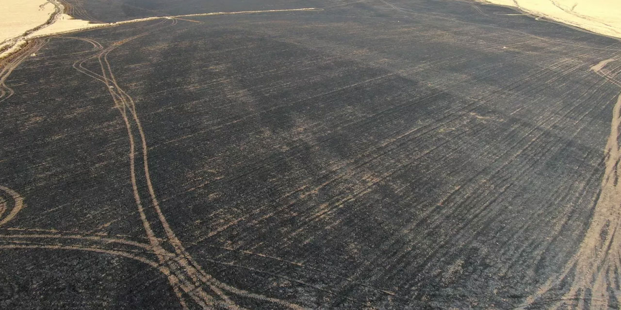 Araçtan atılan sigara izmariti yangın çıkardı: 700 dönümlük arazi 45 dakikada küle döndü