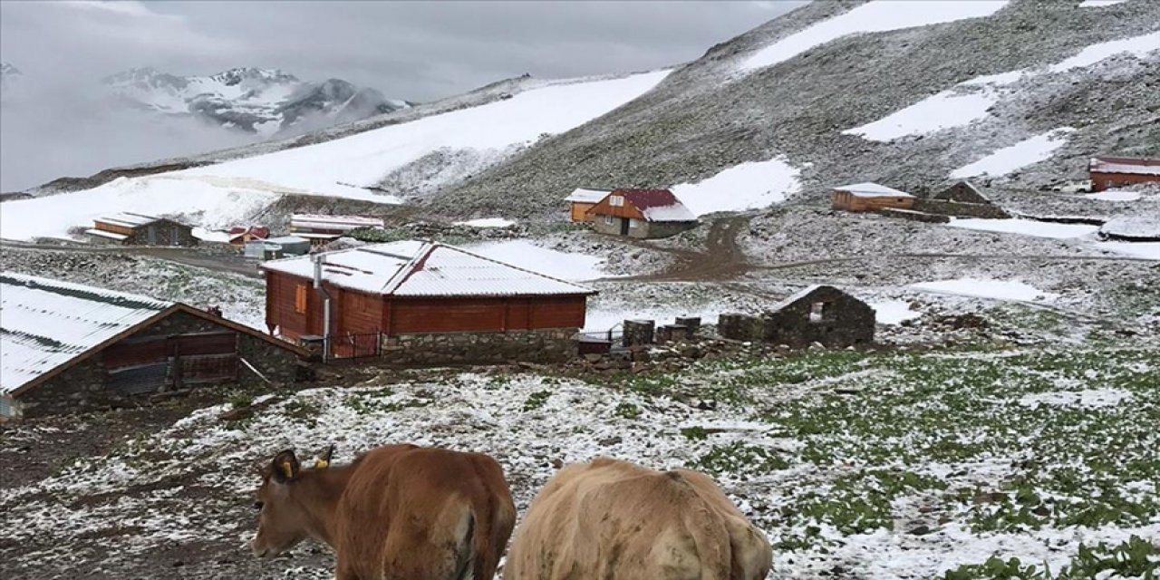 Rize'de 3 bin 200 rakımlı yaylaya kar yağdırıldı