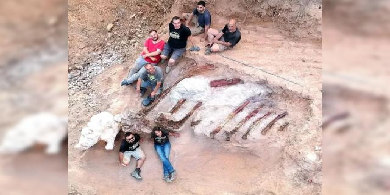 Avrupa'da şimdiye kadarki en büyük dinozor iskeleti: Portekiz'de bulundu
