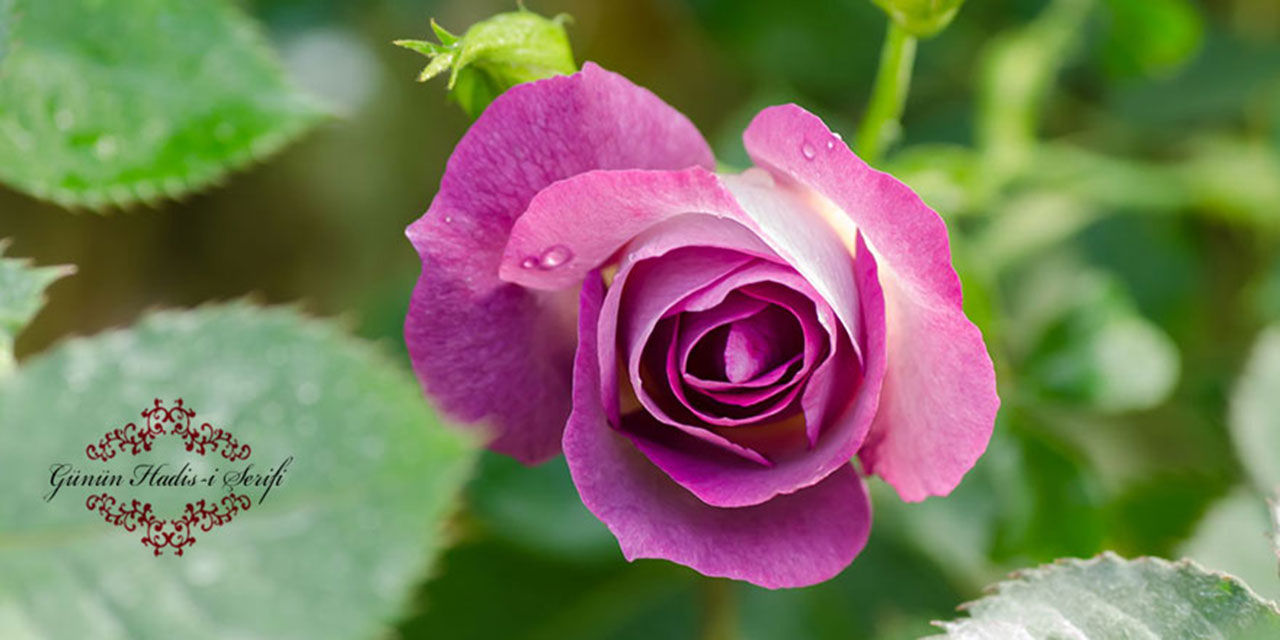 Kişi yeme içmeyi azalttığında içine nur dolar