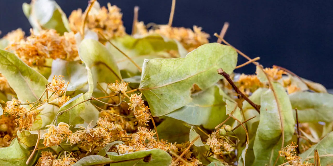 Kainat eczanesinden derde deva ıhlamur 400 TL'ye satılıyor