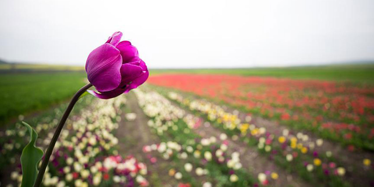 Kur'an'ın Özeti: Edeb