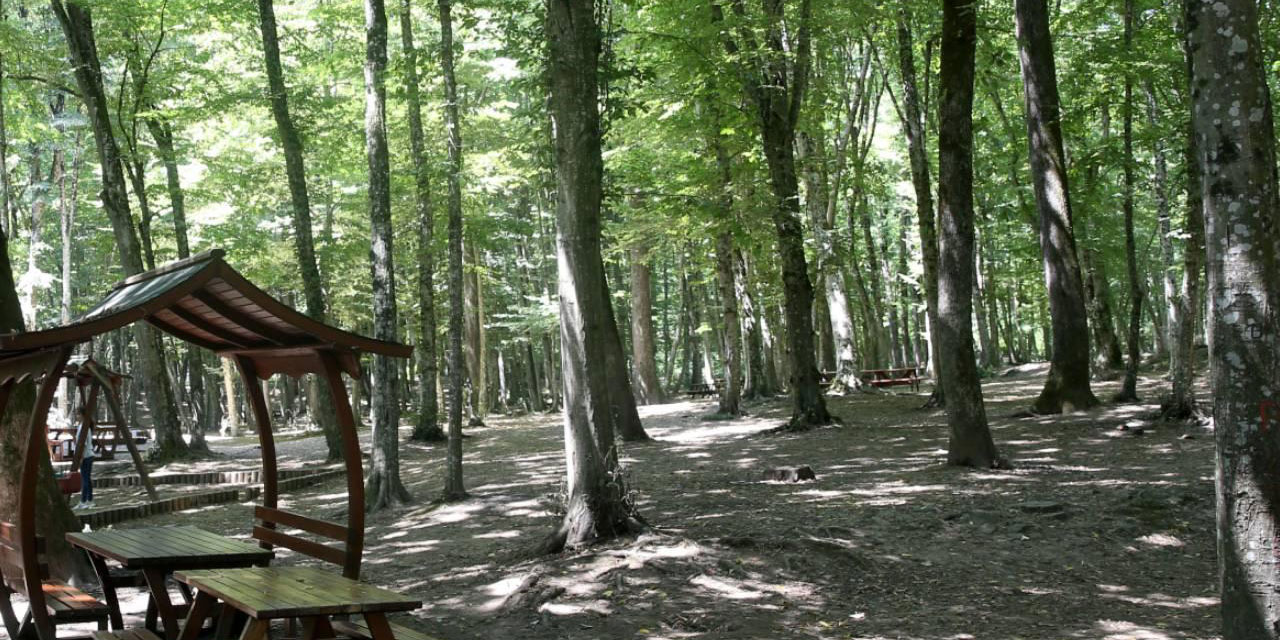 Ülke genelinde 47 ilde ormanlara giriş yasaklandı