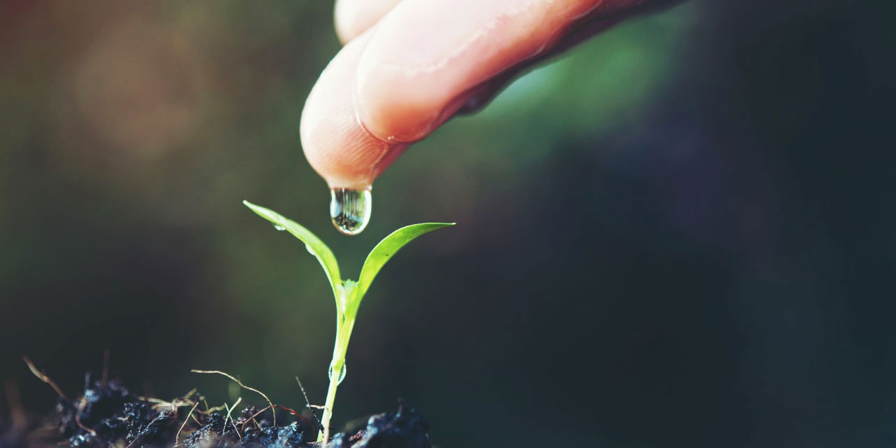 Bediüzzaman: İnsanları canlandıran emeldir, öldüren yeistir (ümtsizlik)