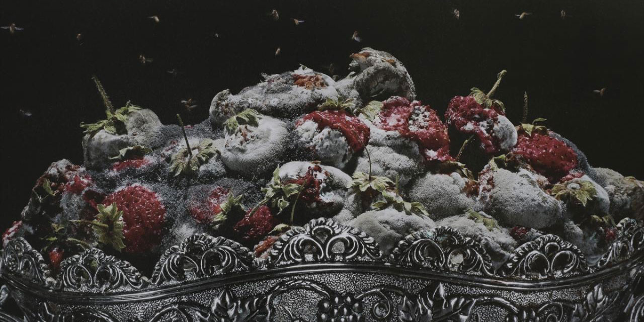 Başkentte gıda israfına dikkati çekmek için sergi açıldı