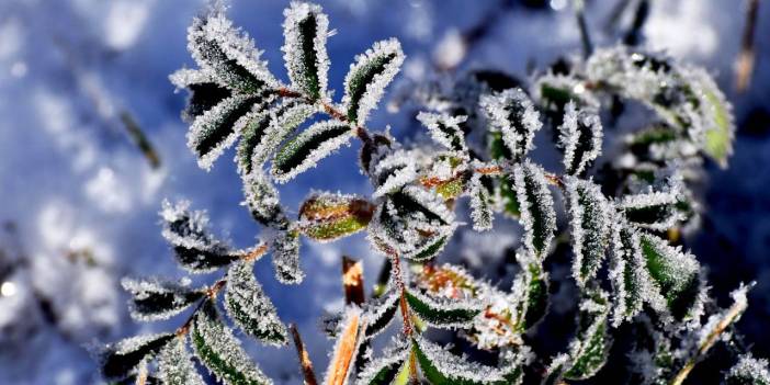 Kars'ta soğuk hava ve kırağı güzelliği