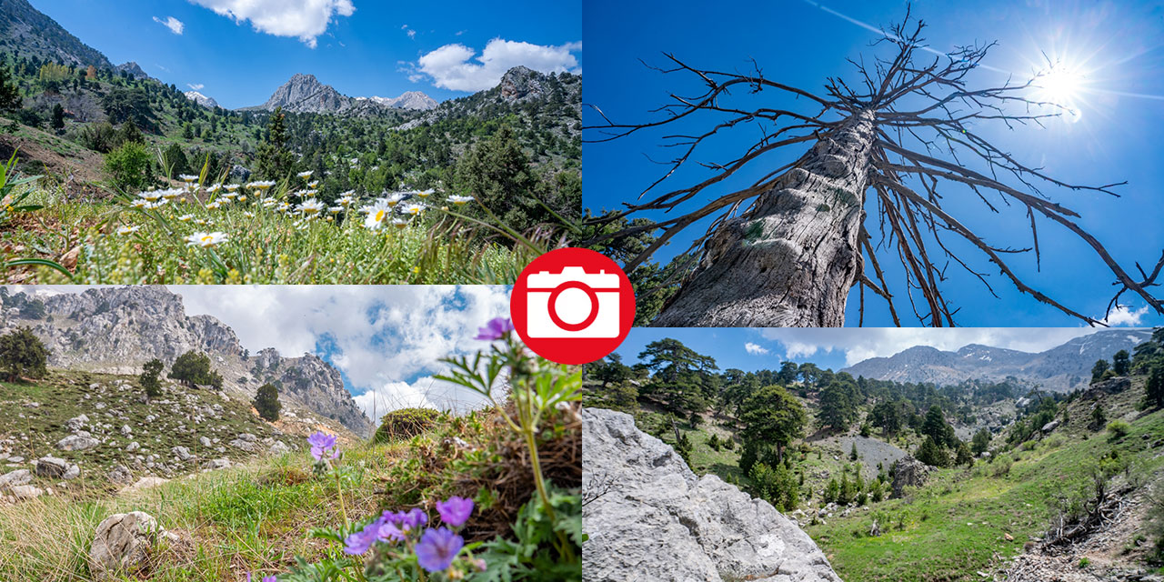 Antalya'nın Moryer Yaylası