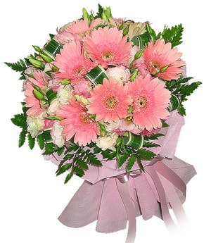 ankara_zeynep_cicek3300.jpg
