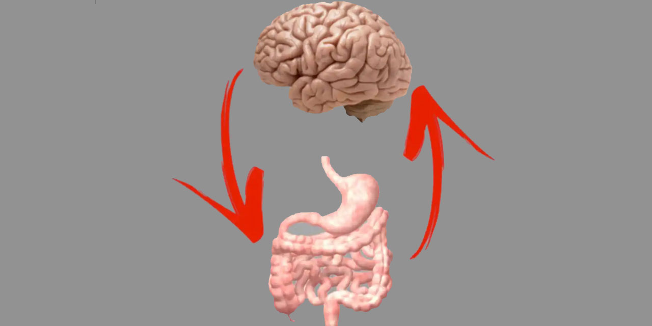 Bağırsaklar ile beyin arasında nasıl bir ilişki var?