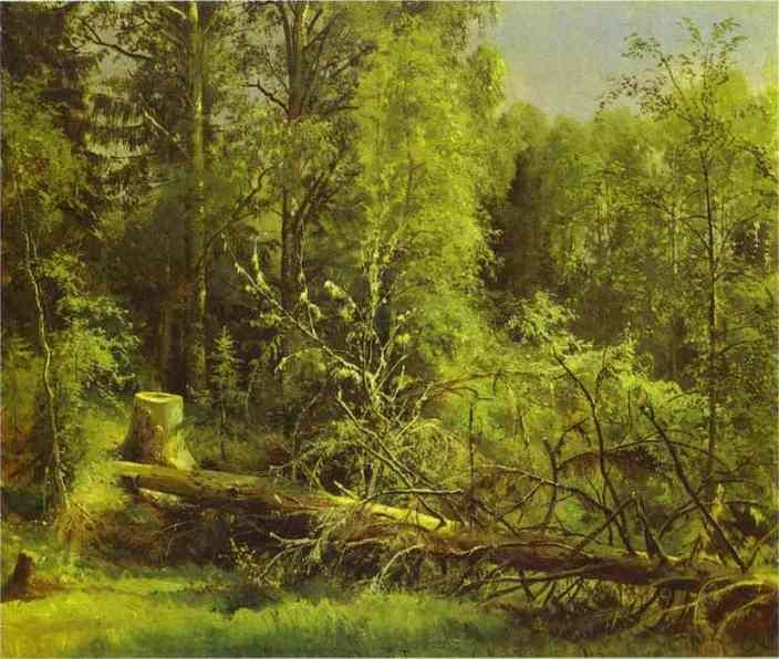 shishkin16.jpg