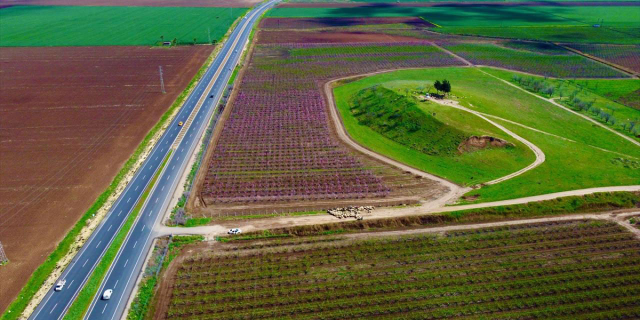 Deprem bölgesindeki bahçeler yeniden diriliyor