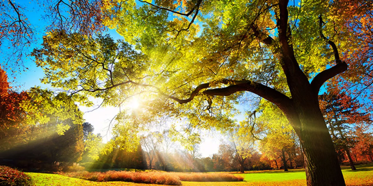 Pastırma sıcakları 12 Kasım'da başlayacak