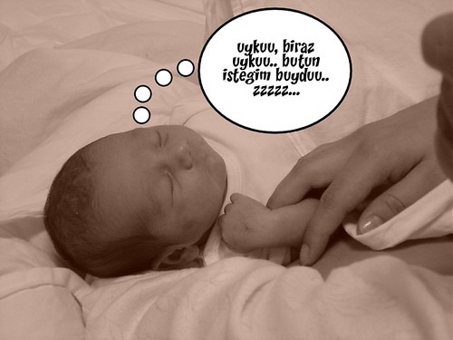 146398217_2b90801db2.jpg