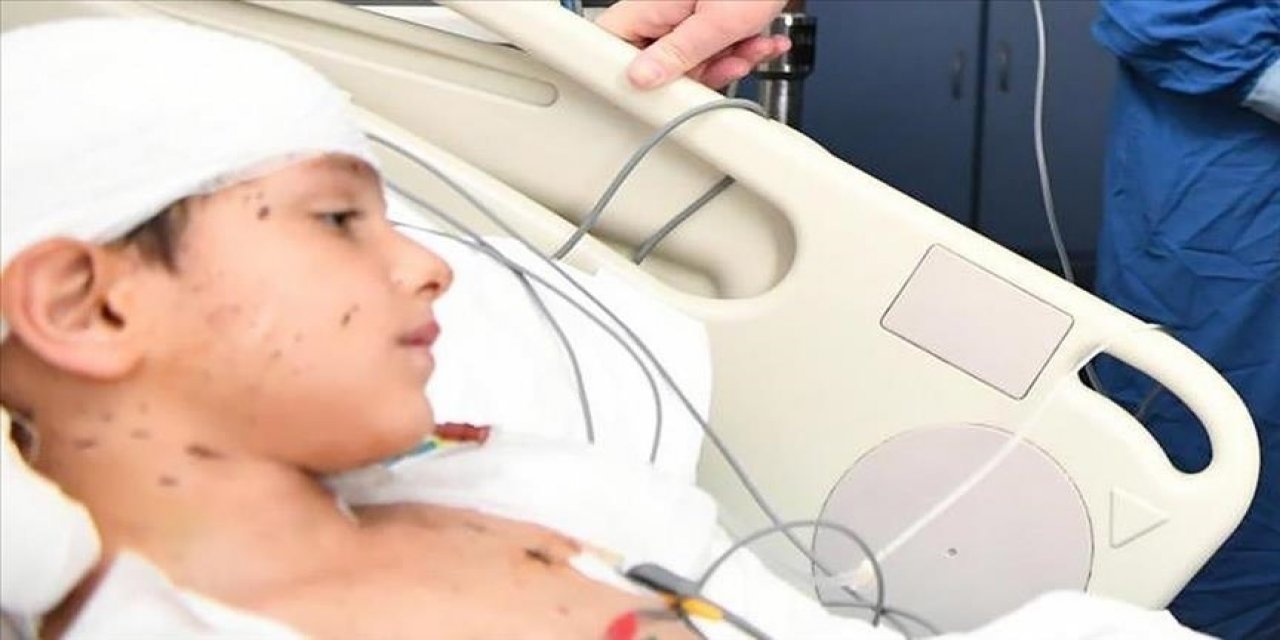 Acılı baba tepkili: Köpeklerin sizin çocuğunuzu parçalamasını ister misiniz?