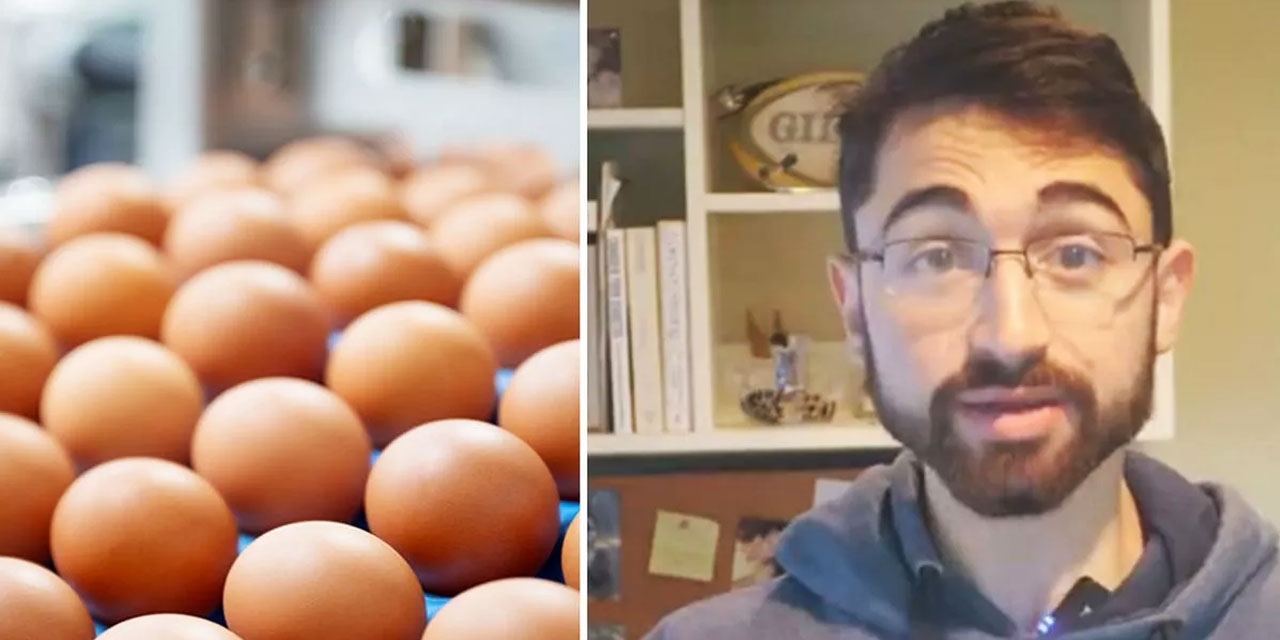 Yumurta kolesterolü yükseltiyor mu? Harvard'lı doktor 720 tane yedi, işte sonuç!