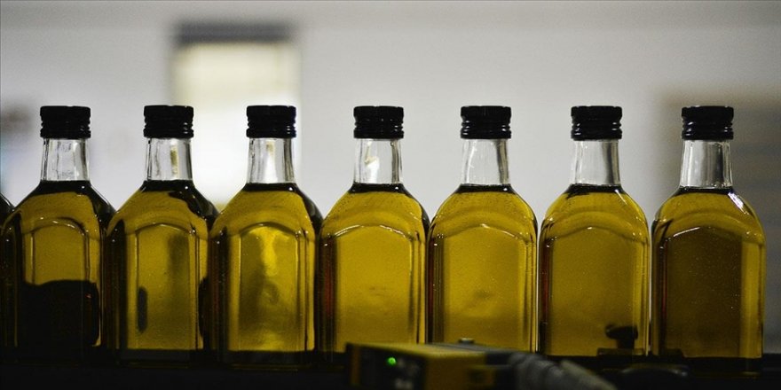 Osmanlı mirası tarım lisesinde soğuk sıkım zeytinyağı ve ayçiçeği yağı üretiliyor