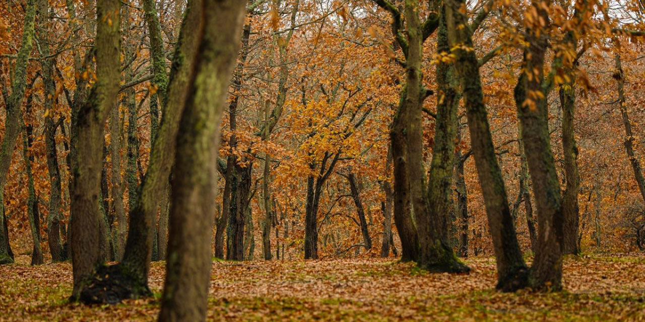 İkiz Göller'de renk renk mevsim geçişleri