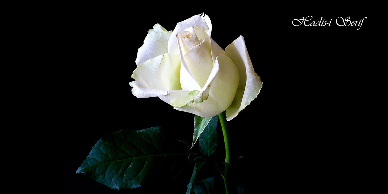 Allah bir millet için kıtlık vermeyi istediğinde semâdan bir nida edici şöyle bağırır