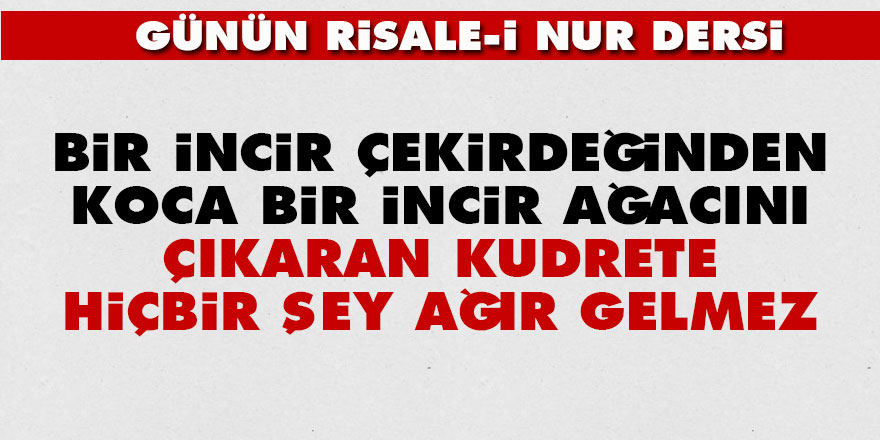 Bir incir çekirdeğinden koca bir incir ağacını çıkaran kudrete hiçbir şey ağır gelmez