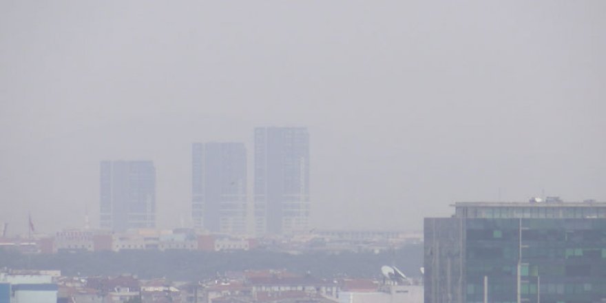 Hava kirliliği anne karnındaki bebeği de olumsuz etkiliyor
