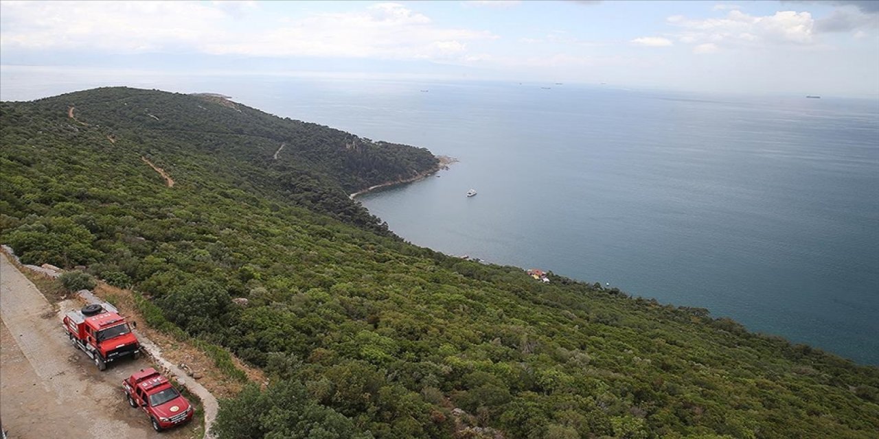 İstanbul ormanlarında dumansız yangınla mücadele