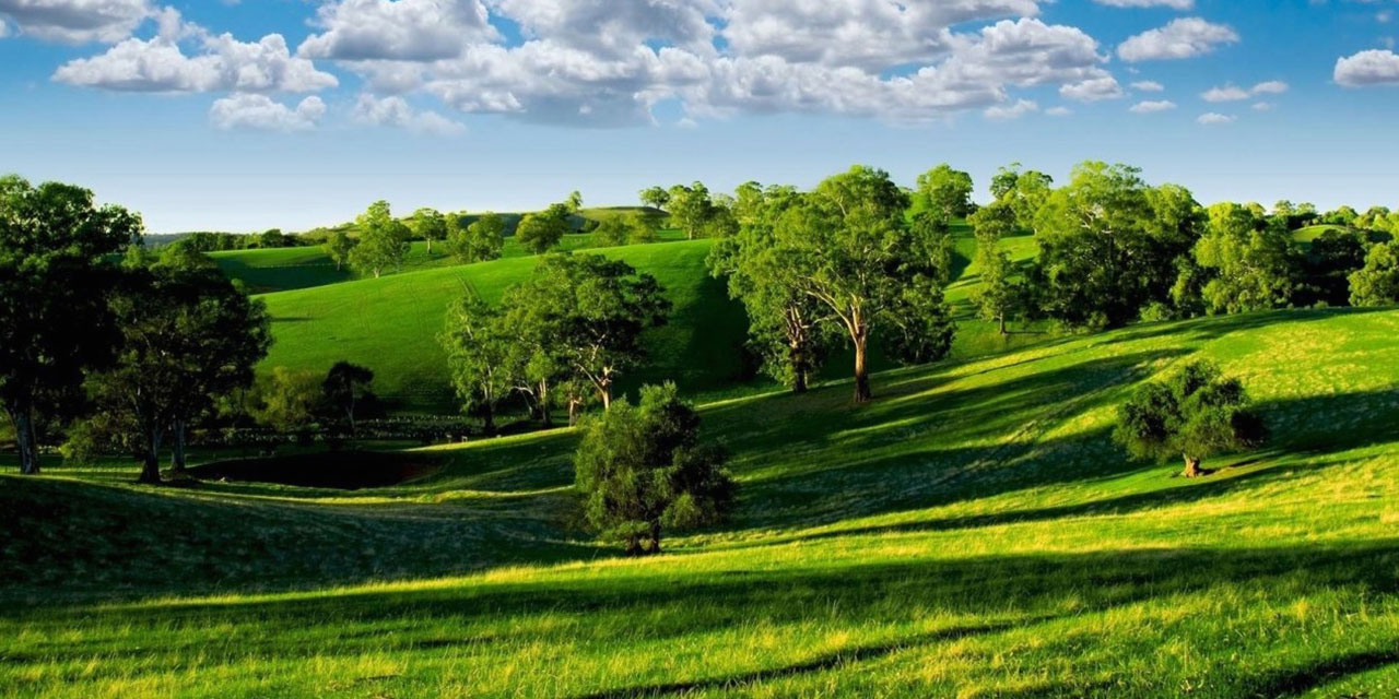 Dünya nüfusunun sadece yüz binde 1'i temiz hava soluyor