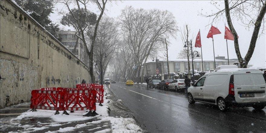 Çevre derneklerinden TEMA'ya çınar ağacı tepkisi
