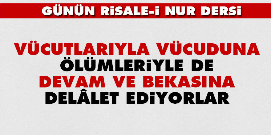 Vücutlarıyla vücuduna, ölümleriyle de devam ve bekasına delâlet ediyorlar