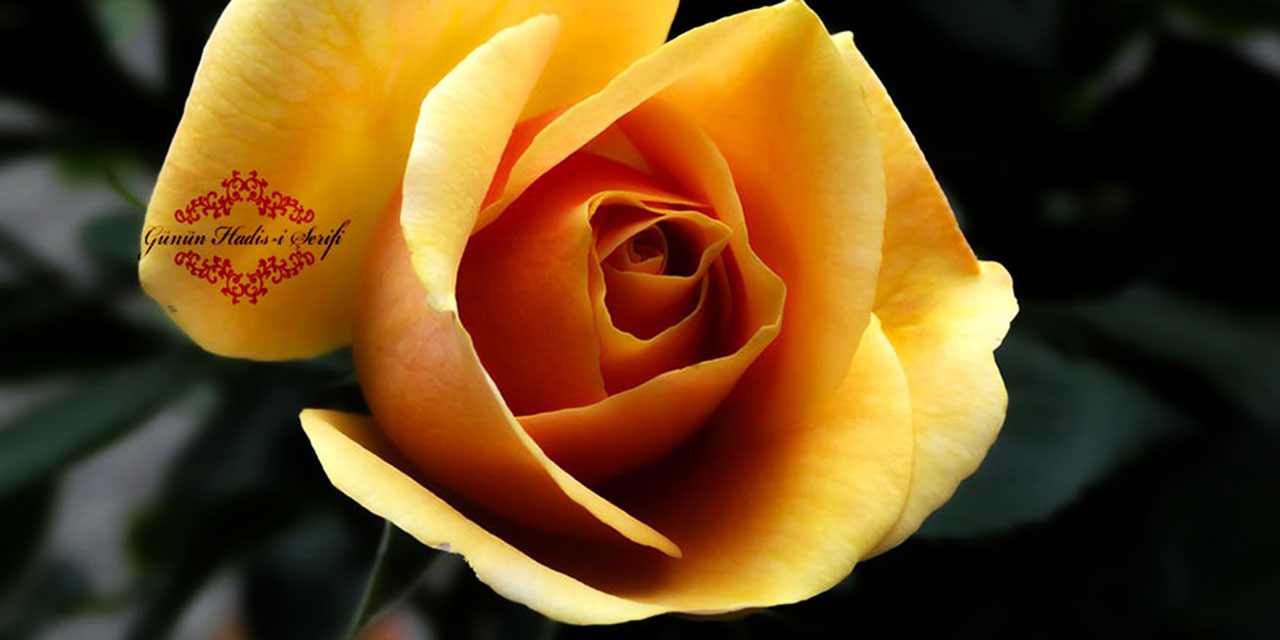 Birşey yediğiniz zaman Allah'ın adını anmayı unutursanız şöyle der