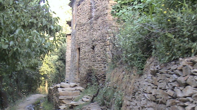DSC00009.JPG