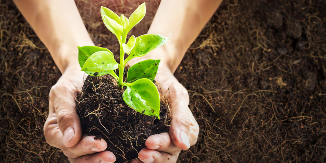 Dine hizmet için tecerrüd, taarri ve teberri şartı