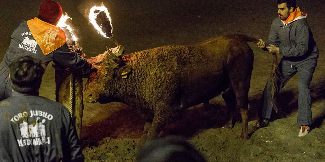 İspanya'daki vahşetin yasaklanması için dava açıldı