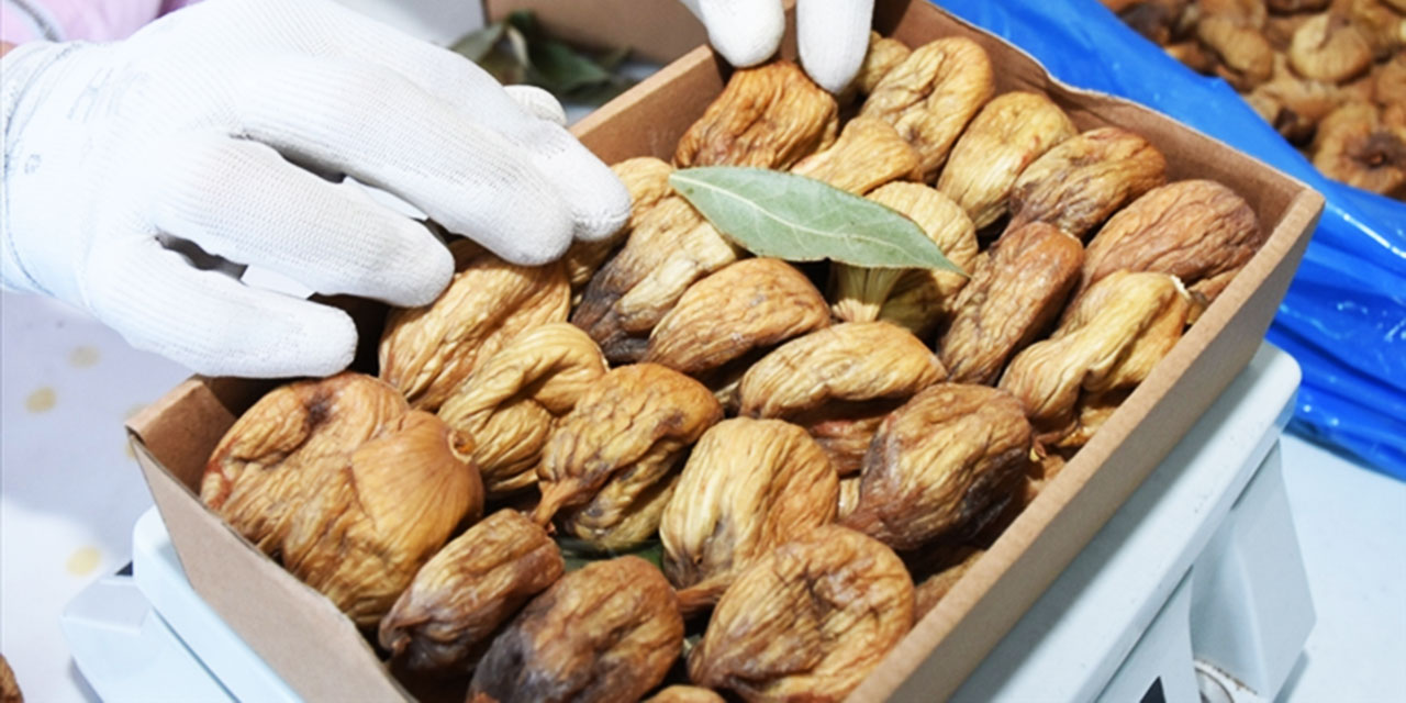 Doktordan, Tarım Bakanlığı'na aflatoksin tepkisi: İşte bu karaciğer kanserinin sebebi