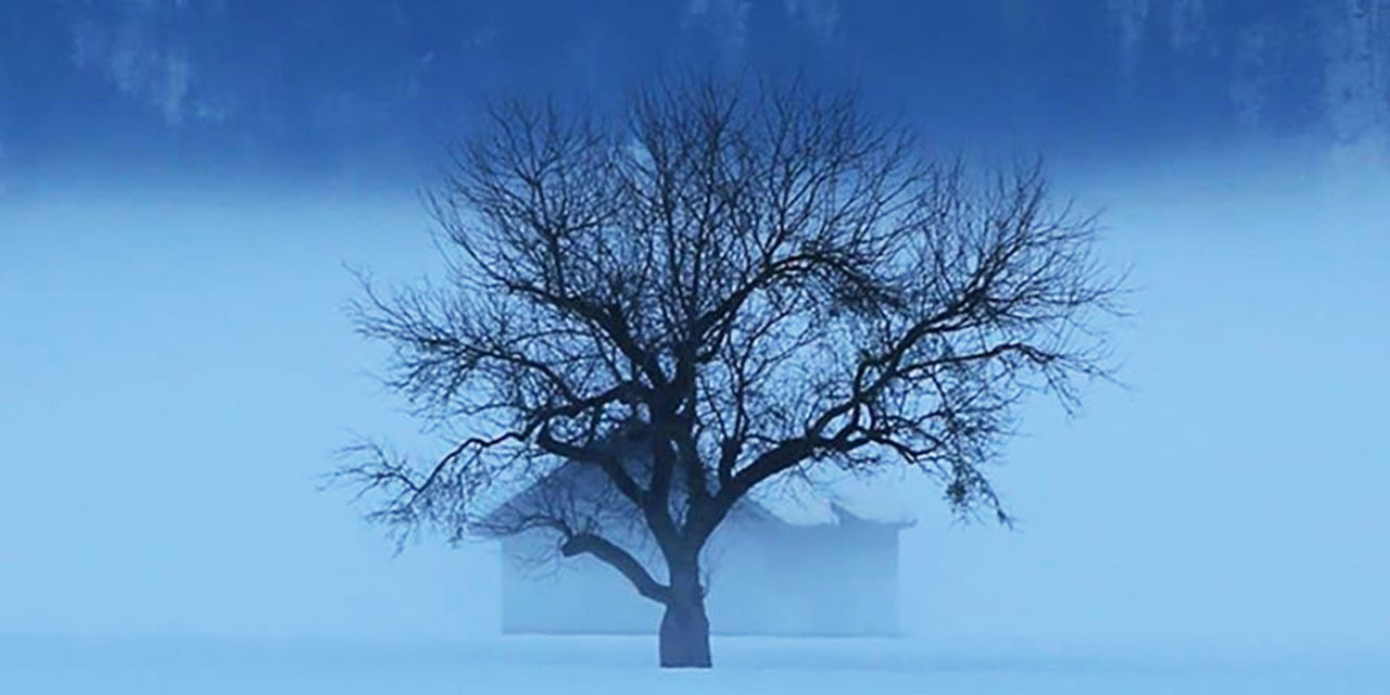 İsviçre'de hava sıcaklığı 30 derece düştü kar yağdı
