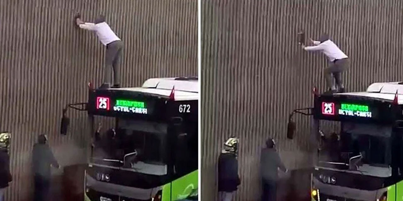 Şoförün merhameti: Otobüsü durdurdu yavru kediyi kurtardı