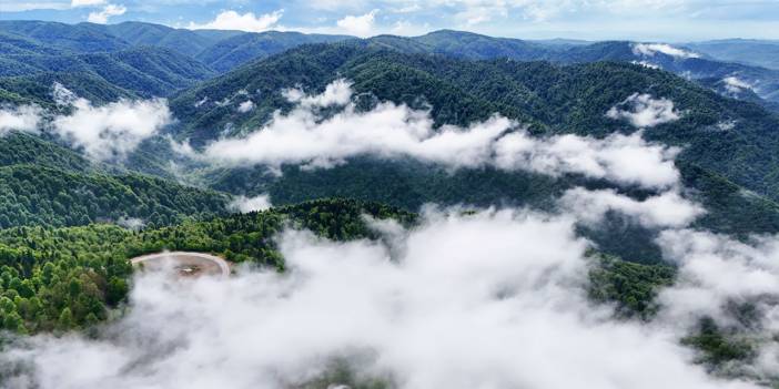 Çam Dağı, ilkbaharla birlikte yeniden diriliyor