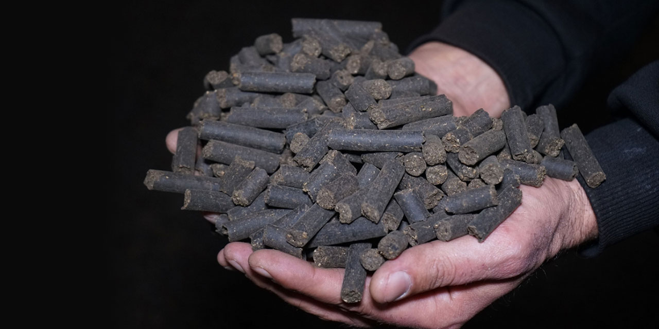 Kur'an'da adı geçen şifa vesilesi zeytinin posası da kullanılıyor