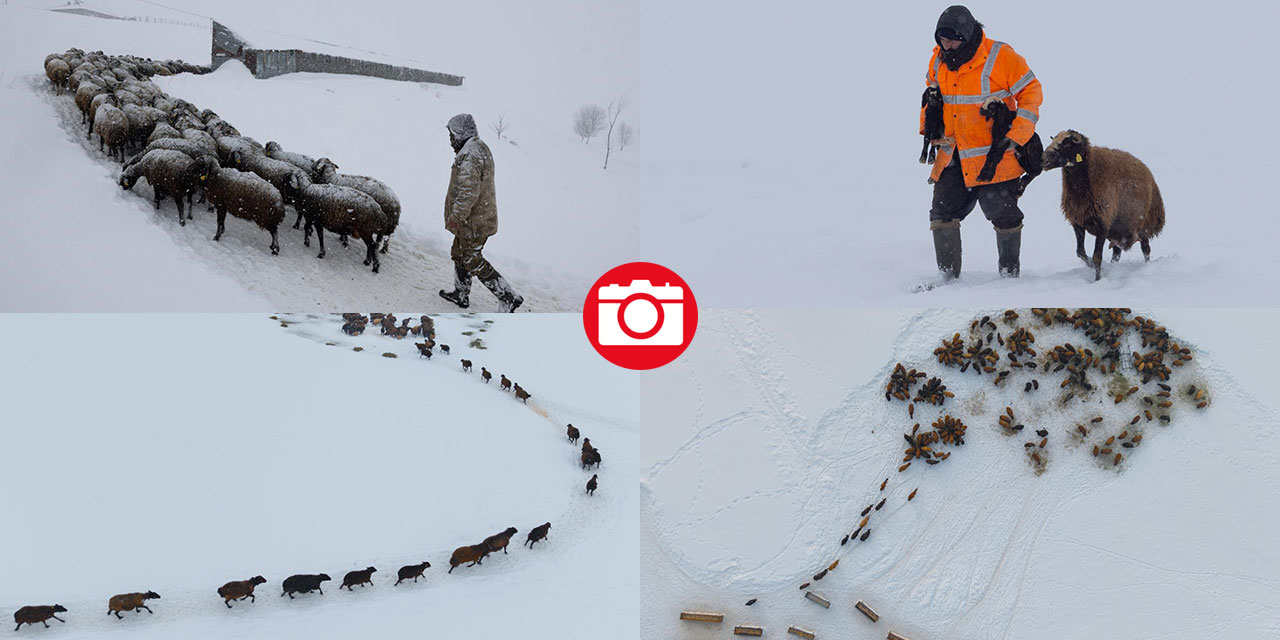 1940 metre yükseklikte besicilerin zorlu mesaisi