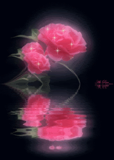 48169s2581xo4hz.gif