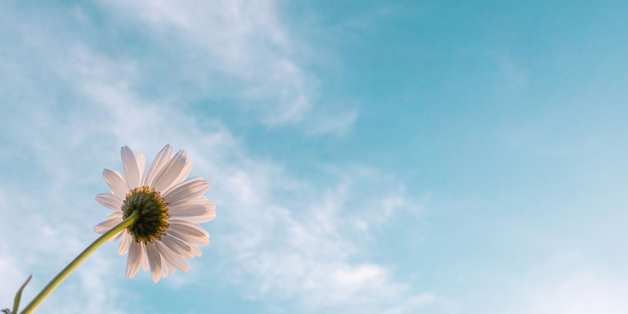 Gerçek hayır, ancak Allah'ın kulları için seçtiğindedir