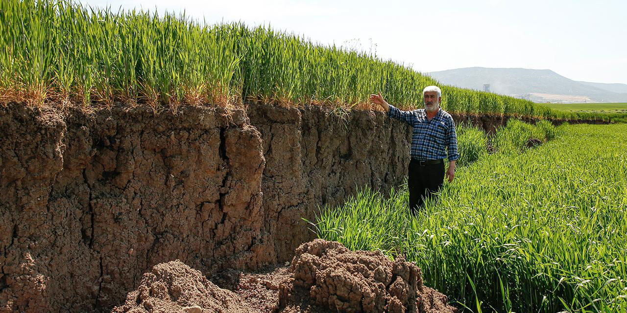 Depremde 2 metreyi bulan çökmeler çiftçileri zorluyor