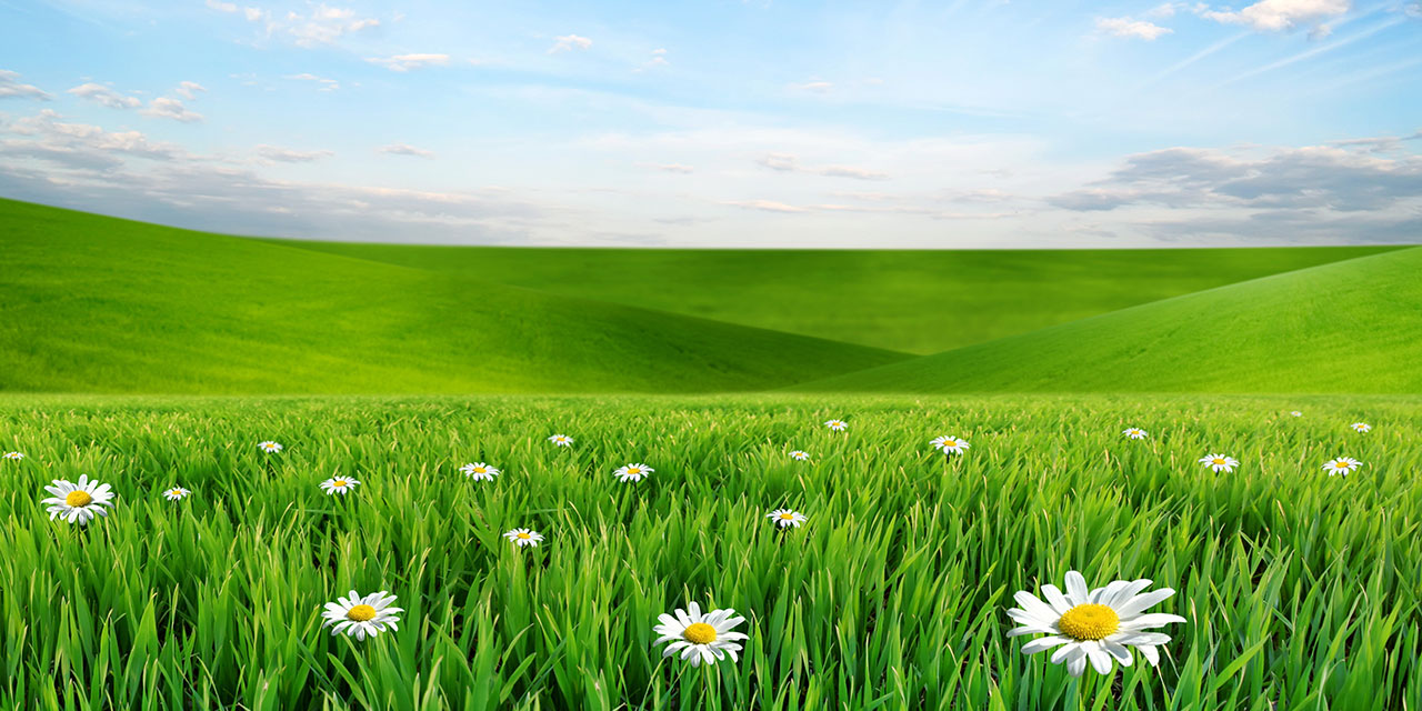 Şu on dördüncü asr-ı Muhammedîde (asm) tebligât-ı Ahmediyeyi bihakkın ifâ eden