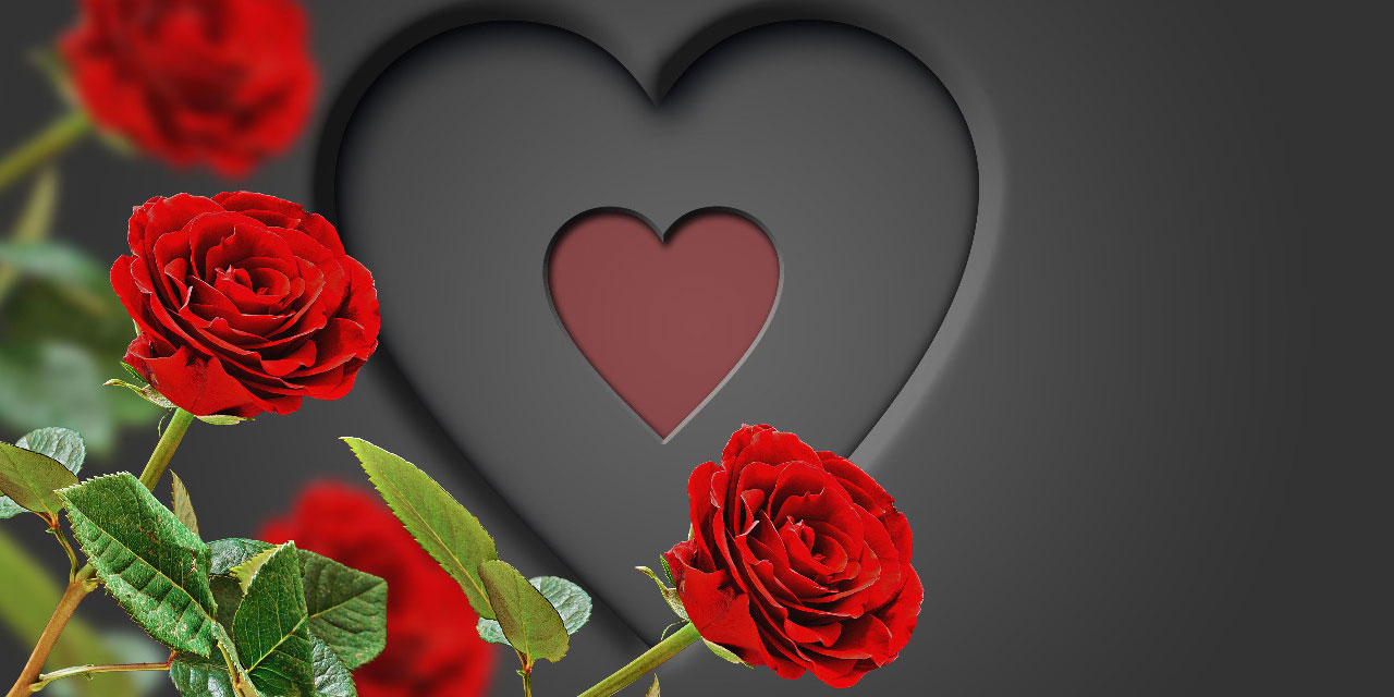 Güllerin ve Gönüllerin Efendisi (asm)